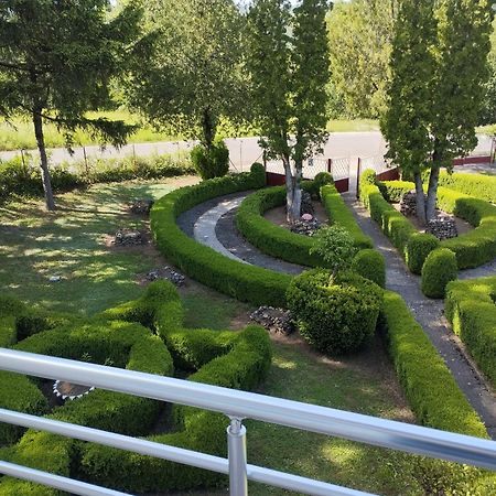 Guest House Vila Aleksa Bogutovac Bagian luar foto