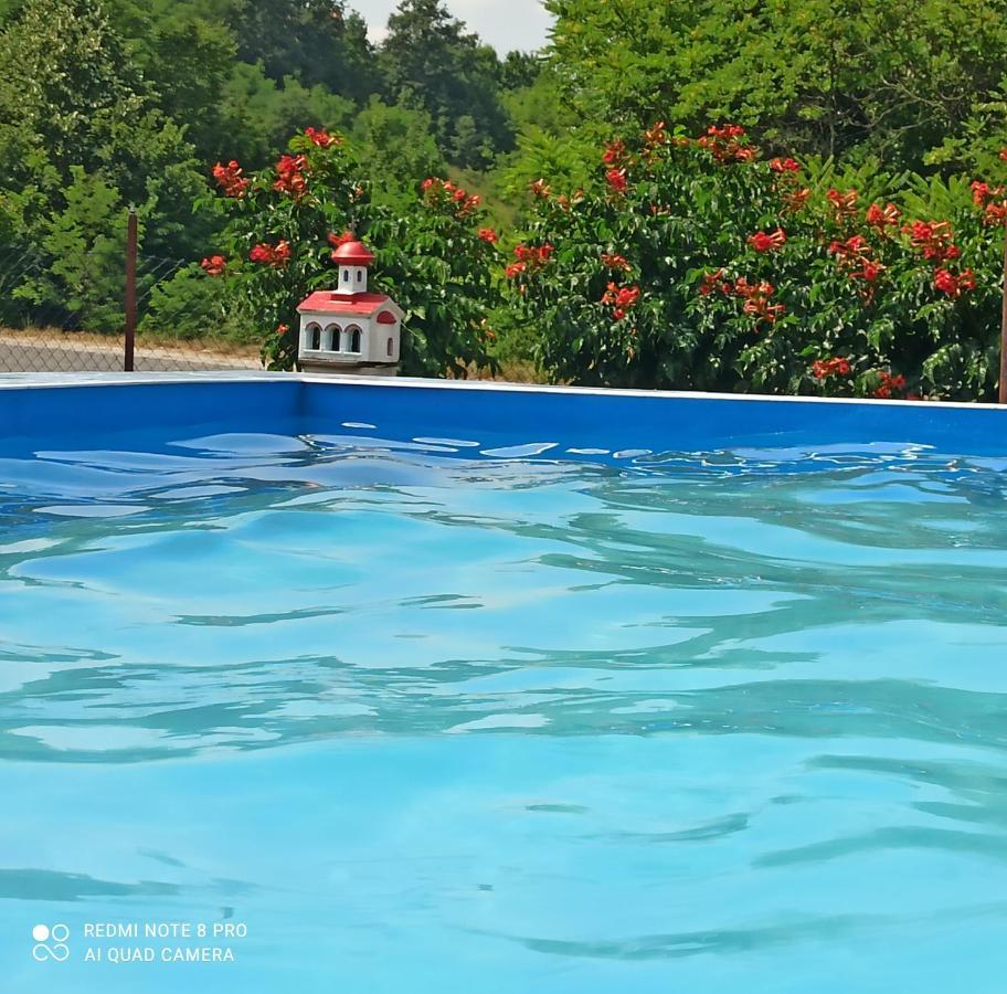 Guest House Vila Aleksa Bogutovac Bagian luar foto