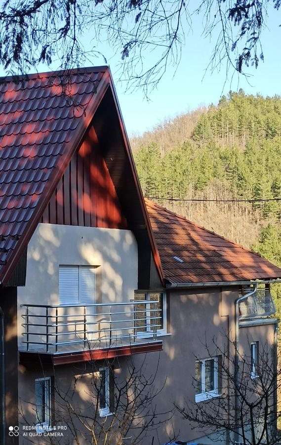Guest House Vila Aleksa Bogutovac Bagian luar foto