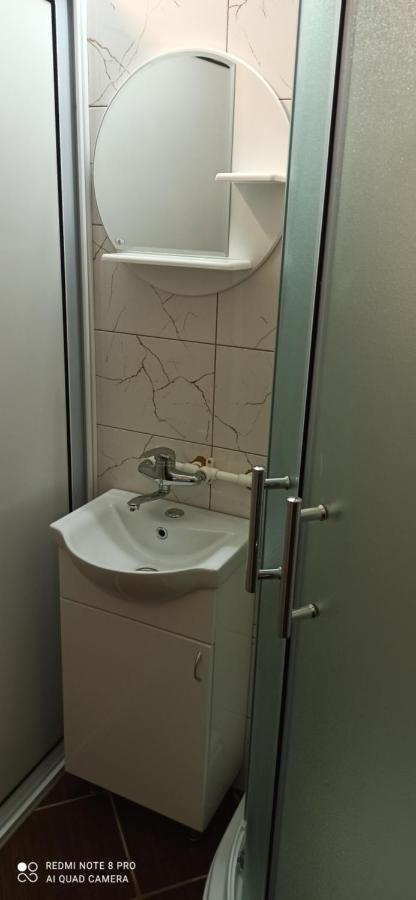 Guest House Vila Aleksa Bogutovac Bagian luar foto