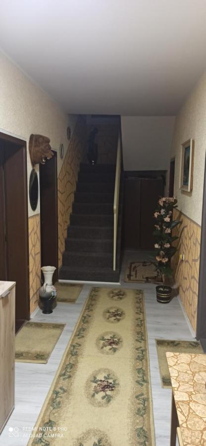 Guest House Vila Aleksa Bogutovac Bagian luar foto