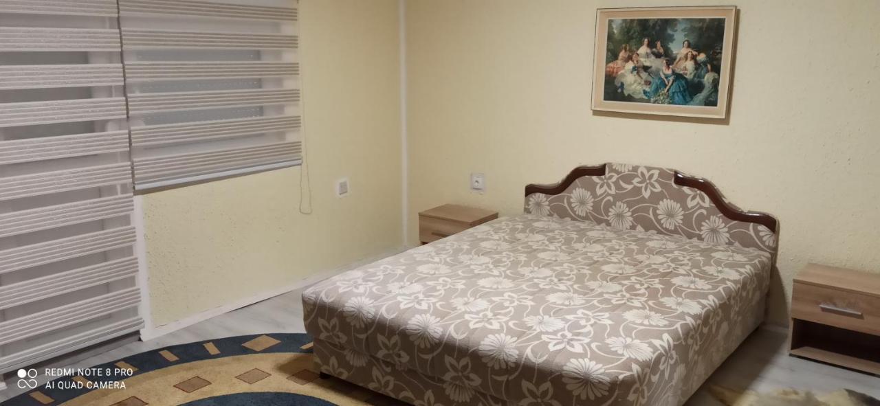 Guest House Vila Aleksa Bogutovac Bagian luar foto