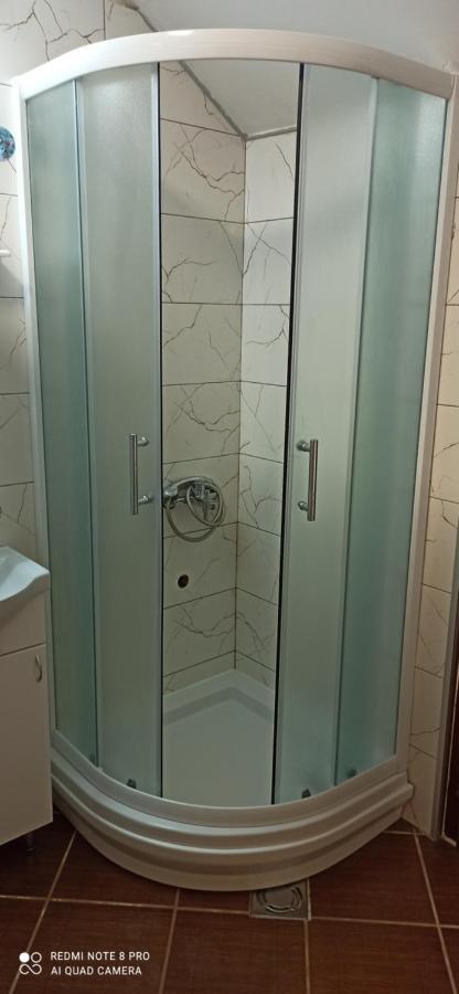 Guest House Vila Aleksa Bogutovac Bagian luar foto