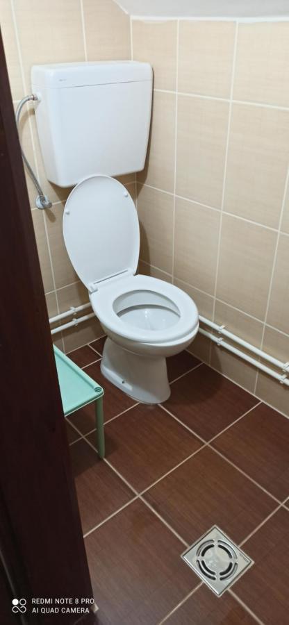 Guest House Vila Aleksa Bogutovac Bagian luar foto