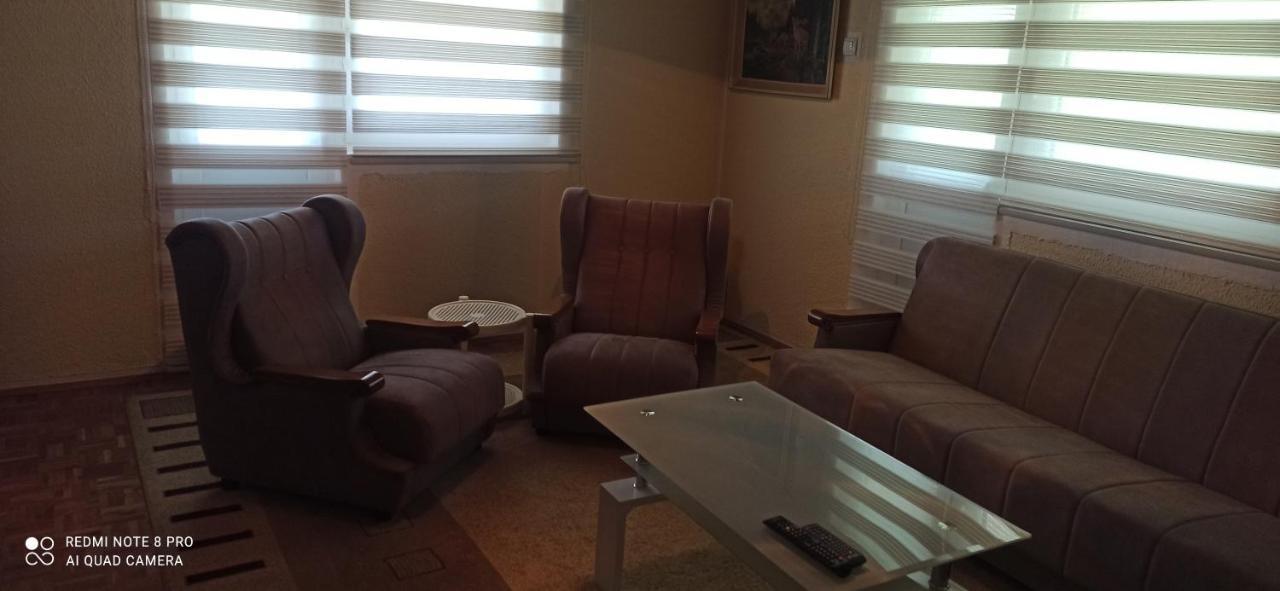 Guest House Vila Aleksa Bogutovac Bagian luar foto