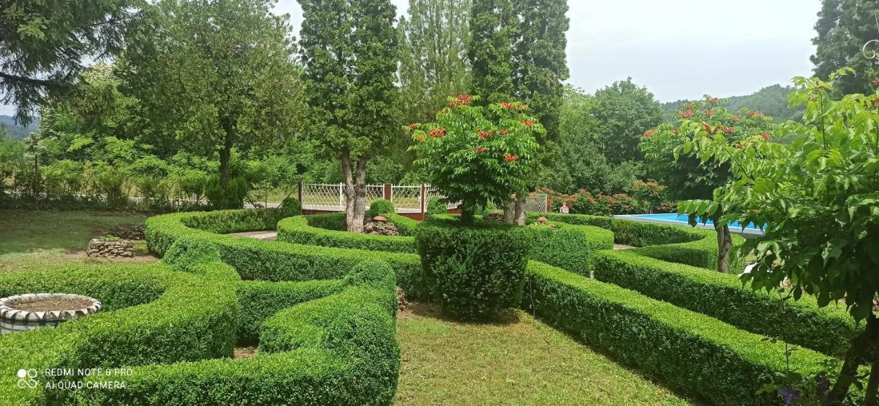 Guest House Vila Aleksa Bogutovac Bagian luar foto