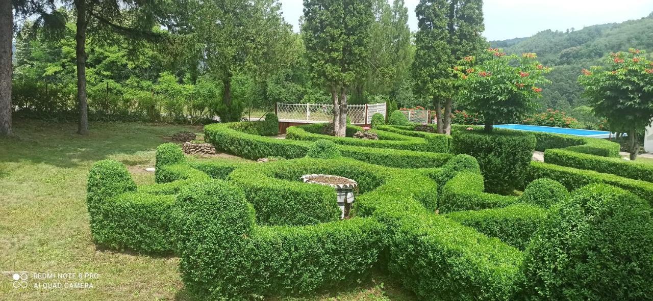 Guest House Vila Aleksa Bogutovac Bagian luar foto