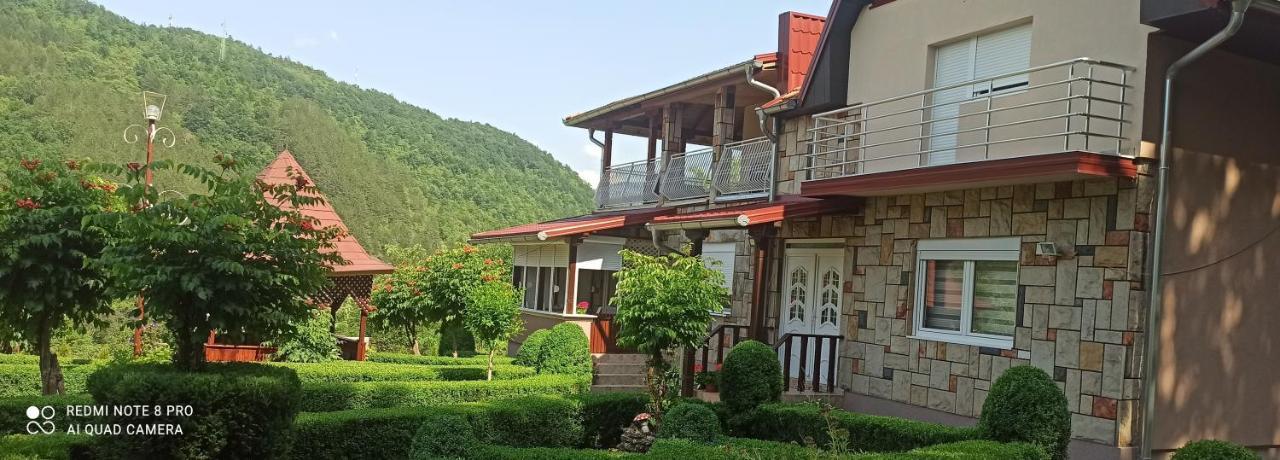 Guest House Vila Aleksa Bogutovac Bagian luar foto