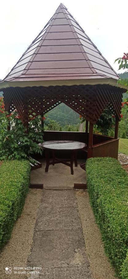 Guest House Vila Aleksa Bogutovac Bagian luar foto