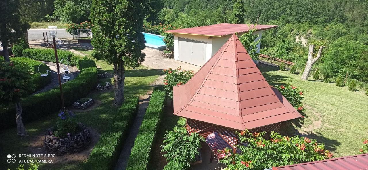 Guest House Vila Aleksa Bogutovac Bagian luar foto