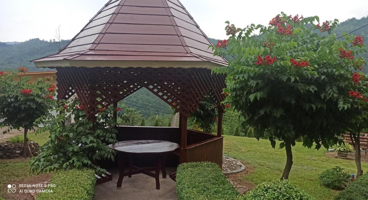 Guest House Vila Aleksa Bogutovac Bagian luar foto